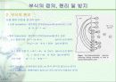 오스테나이트 스테인레스 강 입계부식 5페이지