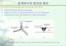 오스테나이트 스테인레스 강 입계부식 10페이지
