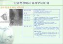 오스테나이트 스테인레스 강 입계부식 16페이지