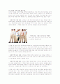 [소비자 행동 분석] 소비자의 사회적 역할 분석과 의의 4페이지