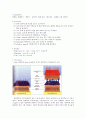 대표적인 미생물 염색법 gram stain 그람 염색법 2페이지