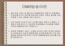 DMB(Digital Multimedia Broadcasting)서비스 4페이지