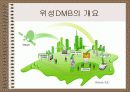 DMB(Digital Multimedia Broadcasting)서비스 7페이지
