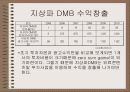 DMB(Digital Multimedia Broadcasting)서비스 15페이지