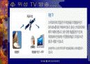 디지털 TV 15페이지