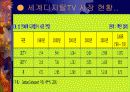 디지털 TV 17페이지