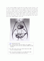 남성과 여성의 성호르몬 9페이지