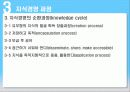지식경영 10페이지