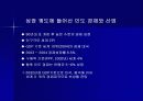 급부상하는 인도의 IT 산업의 잠재력 4페이지