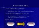 급부상하는 인도의 IT 산업의 잠재력 6페이지