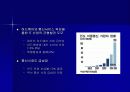 급부상하는 인도의 IT 산업의 잠재력 11페이지