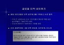 급부상하는 인도의 IT 산업의 잠재력 14페이지