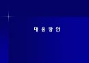 급부상하는 인도의 IT 산업의 잠재력 18페이지