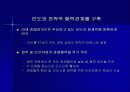 급부상하는 인도의 IT 산업의 잠재력 19페이지