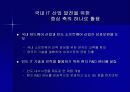 급부상하는 인도의 IT 산업의 잠재력 20페이지