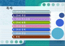 IPv6[Internet Protocol Version 6] 2페이지
