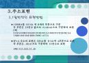 IPv6[Internet Protocol Version 6] 7페이지