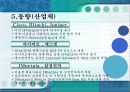 IPv6[Internet Protocol Version 6] 13페이지