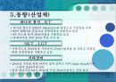 IPv6[Internet Protocol Version 6] 14페이지