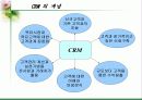 CRM고객관계관리 3페이지