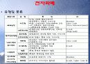 전자상거래-전자화폐 13페이지