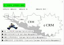 [마케팅]이제는 eCRM이다 3페이지