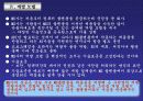 [품질경영]품질경영의 사례(성공, 실패) 16페이지