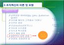 [경영]선진기업의 조직혁신 7페이지