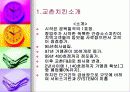 [마케팅]교촌치킨 마케팅전략과 시장분석 4페이지