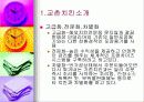 [마케팅]교촌치킨 마케팅전략과 시장분석 6페이지