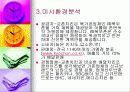 [마케팅]교촌치킨 마케팅전략과 시장분석 10페이지