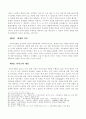 미국의 이라크전쟁에 관한 연구 8페이지