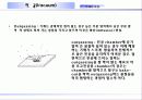 반도체 제조공정 진공 10페이지