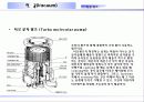 반도체 제조공정 진공 16페이지