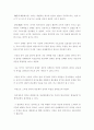 국민의 정부와 참여정부의 관료제적 특징에 대한 비교 연구 4페이지