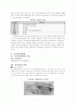 한일백화점비교연구 9페이지
