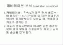 침식부식 11페이지