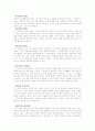  피아제의 인지발달 이론 10페이지