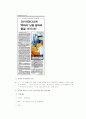 한류 성공 사례 10페이지