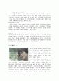 블루오션과 기업사례 15페이지