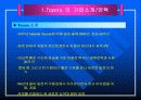 렉서스의 마케팅 성공전략 3페이지