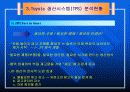 렉서스의 마케팅 성공전략 10페이지
