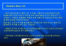 렉서스의 마케팅 성공전략 19페이지
