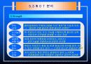 렉서스의 마케팅 성공전략 29페이지