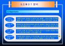 렉서스의 마케팅 성공전략 31페이지