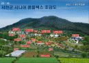 한국 실버산업의 분석과 실태 및 가능성 분석 18페이지