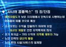 한국 실버산업의 분석과 실태 및 가능성 분석 19페이지