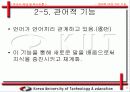 언어의 여섯가지 기능 11페이지