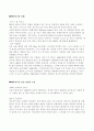 테마파트 - 에버랜드 기업 분석 사례  (고급 레포트 자료) 2페이지