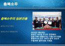 진로소주 - 영광과 실패 19페이지